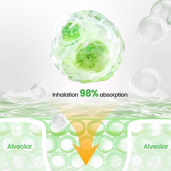 BQYOOM™ SpireFresh Quercetin Lung Detox Inhaler