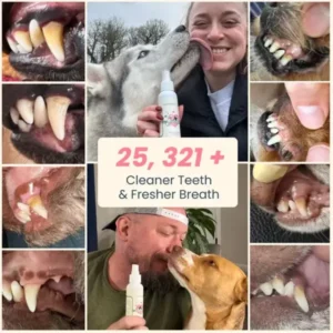 FOMONEST™ Dental Spray – Stop Bad Breath & Tartar at the Source