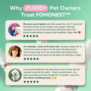 FOMONEST™ Dental Spray – Stop Bad Breath & Tartar at the Source