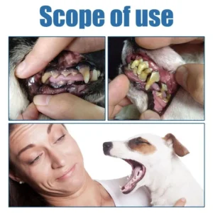 ✨ Pet Dental Care Spray | Advanced Tartar & Plaque Remover ✨